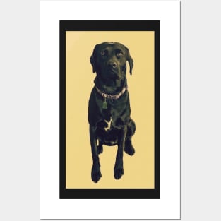 Lola the Lab Posters and Art